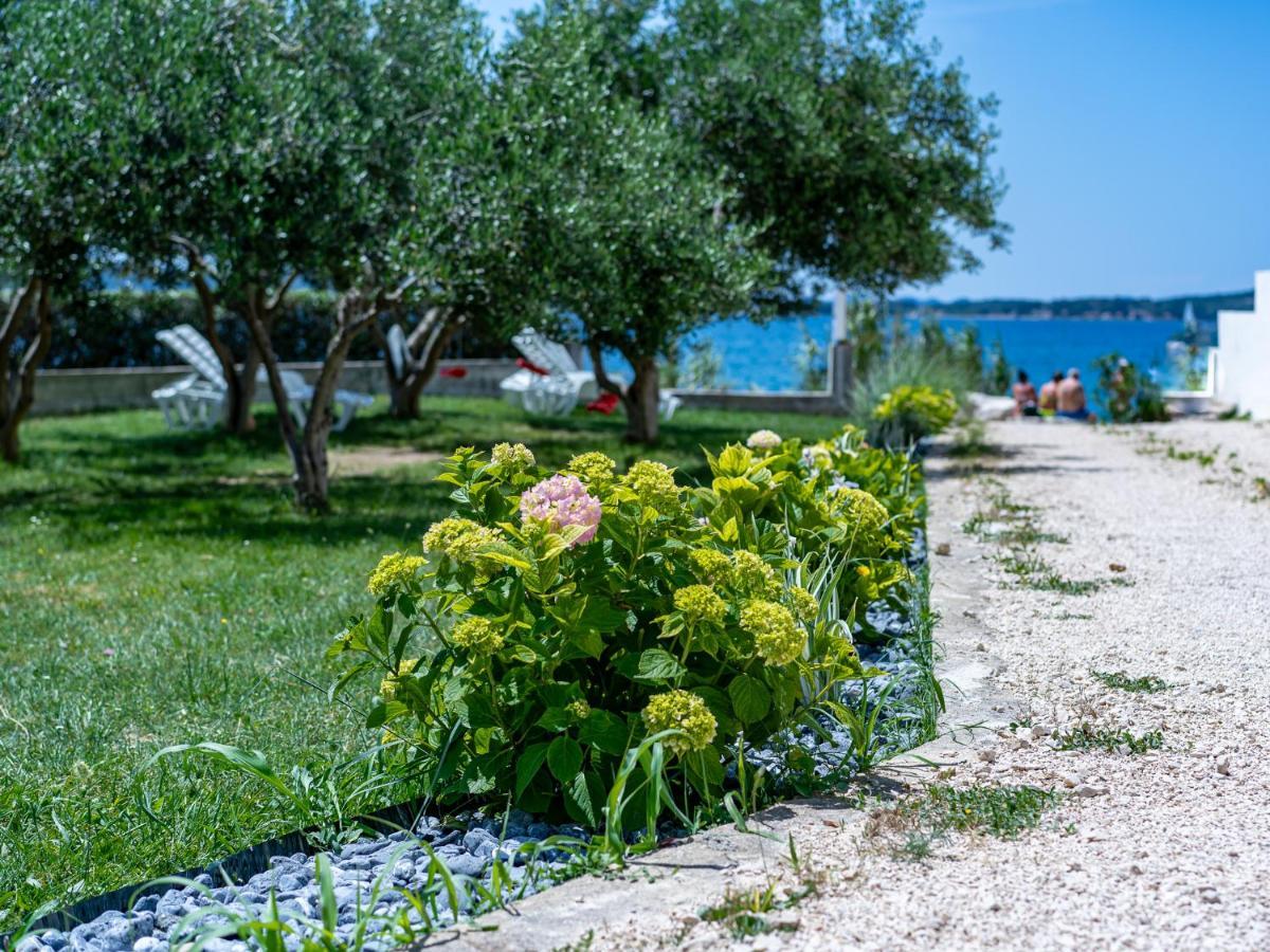 Apartmani Vinko Bibinje Εξωτερικό φωτογραφία
